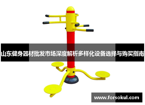 山东健身器材批发市场深度解析多样化设备选择与购买指南