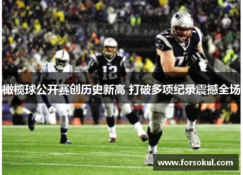 橄榄球公开赛创历史新高 打破多项纪录震撼全场