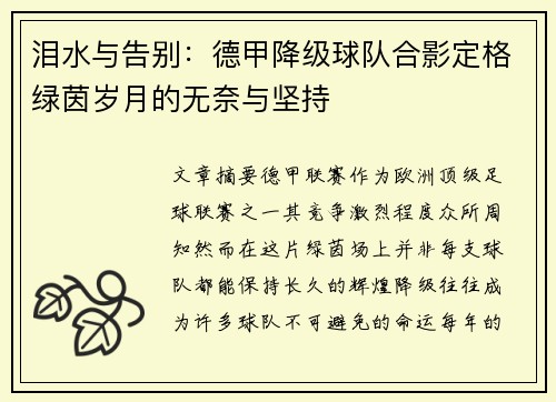 泪水与告别：德甲降级球队合影定格绿茵岁月的无奈与坚持